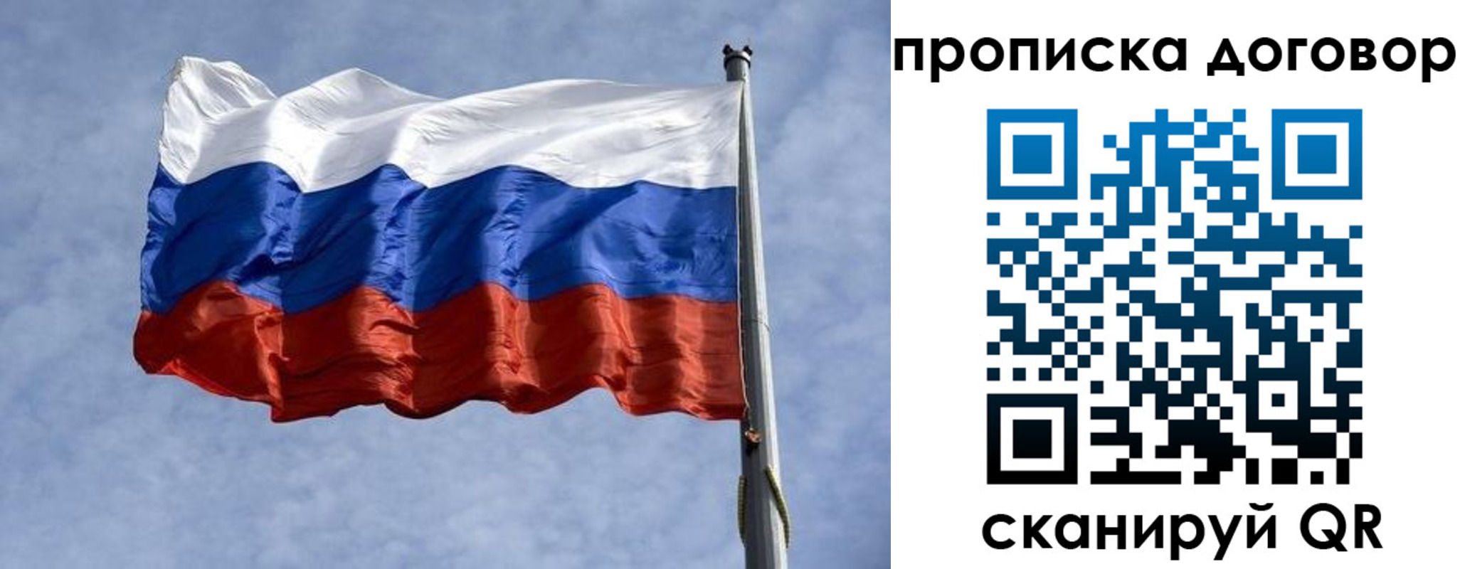 купить прописку в Сельцо